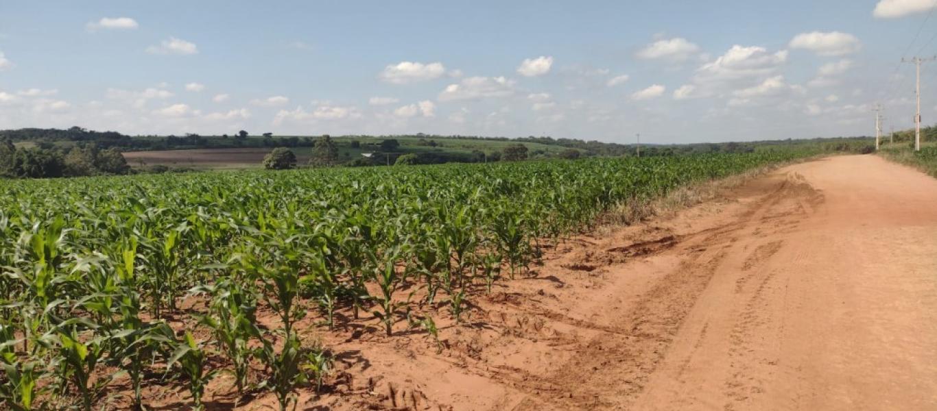 TERRENO NA ÁGUA DA PINGA em ASSIS