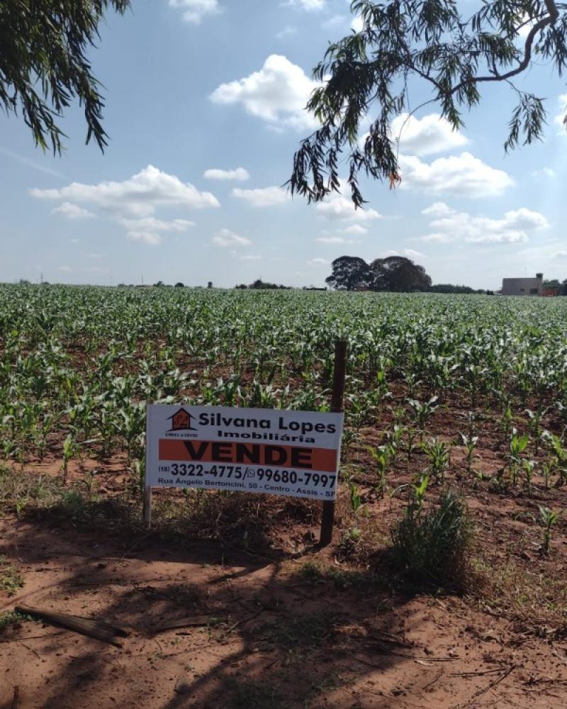 TERRENO NA ÁGUA DA PINGA em ASSIS