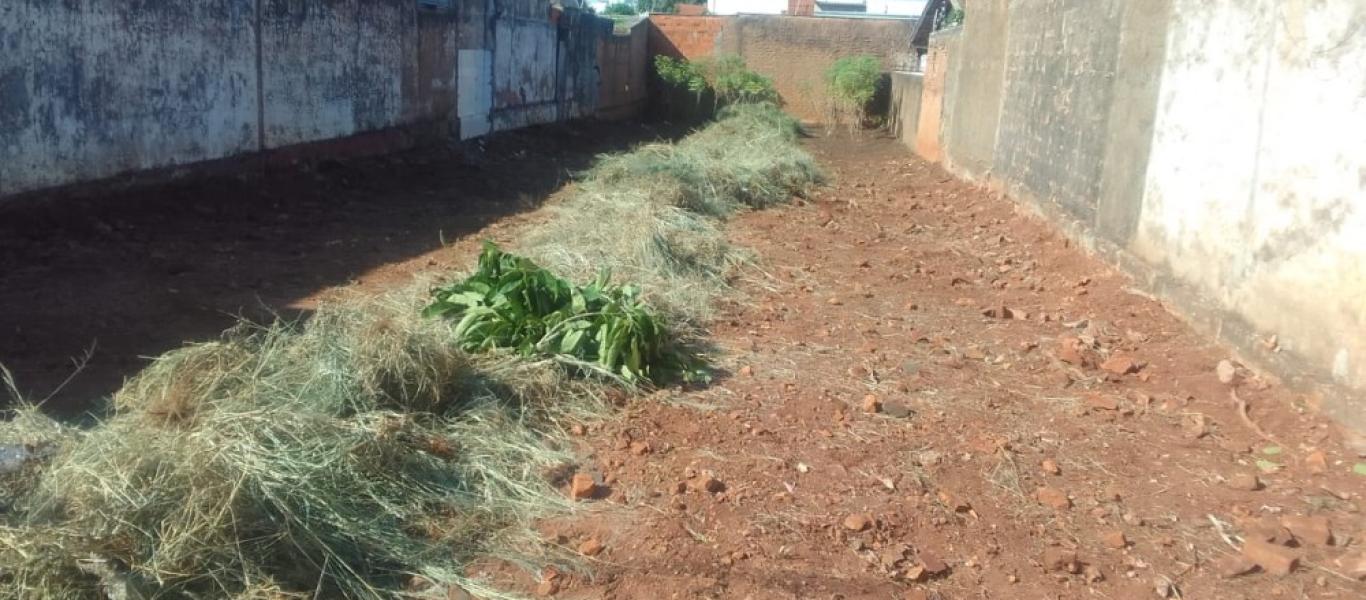 TERRENO NA SANTA CECILIA em Assis