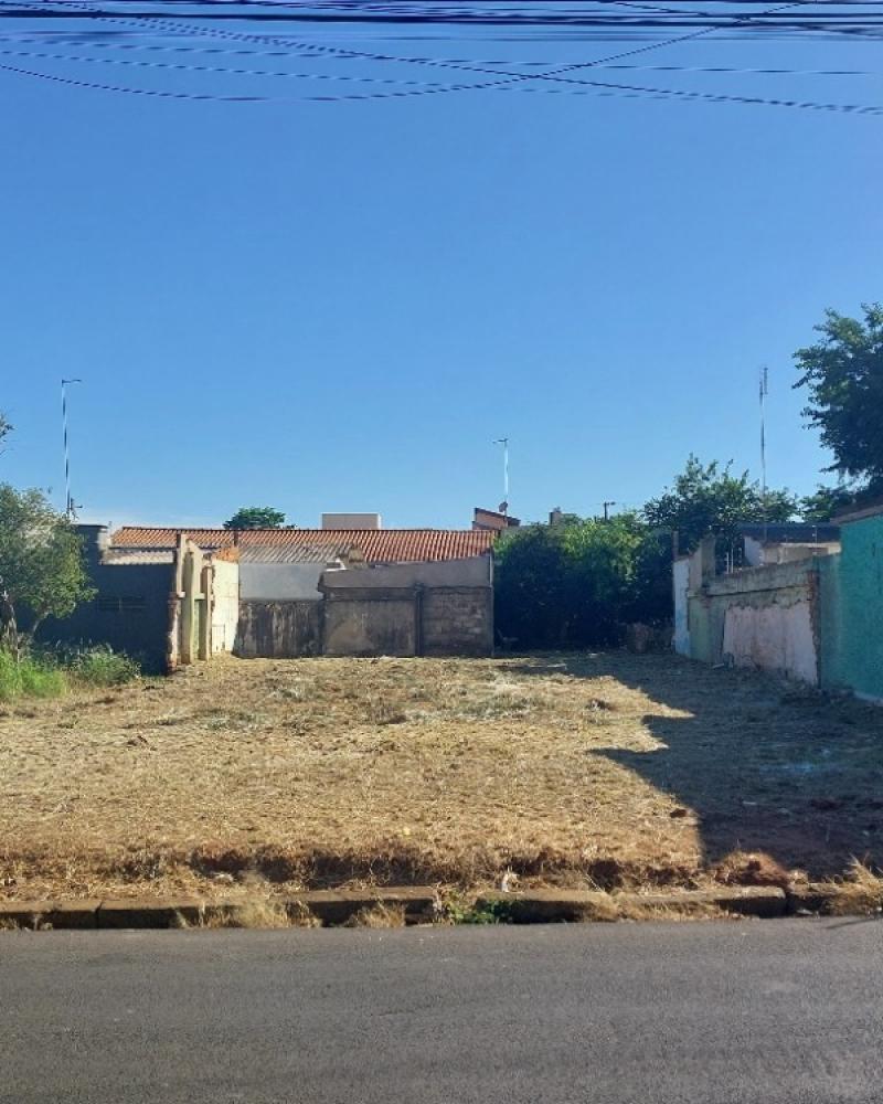 TERRENO NA SANTA CECILIA em Assis