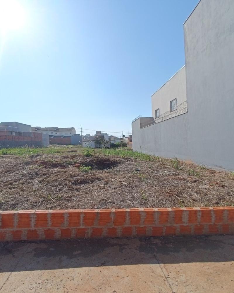 TERRENO NO Residencial Park Bambu II em Assis