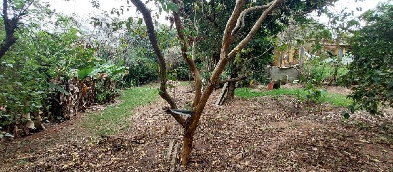 TERRENO NO PARQUE UNIVERSITARIO em Assis