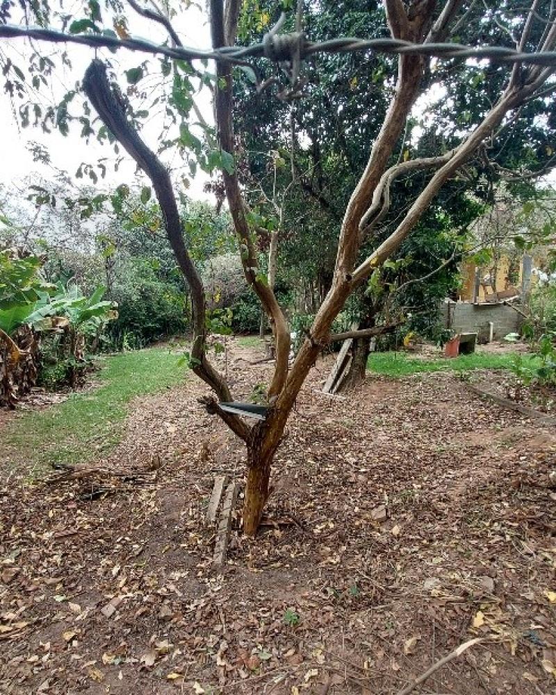 TERRENO NO PARQUE UNIVERSITARIO em Assis