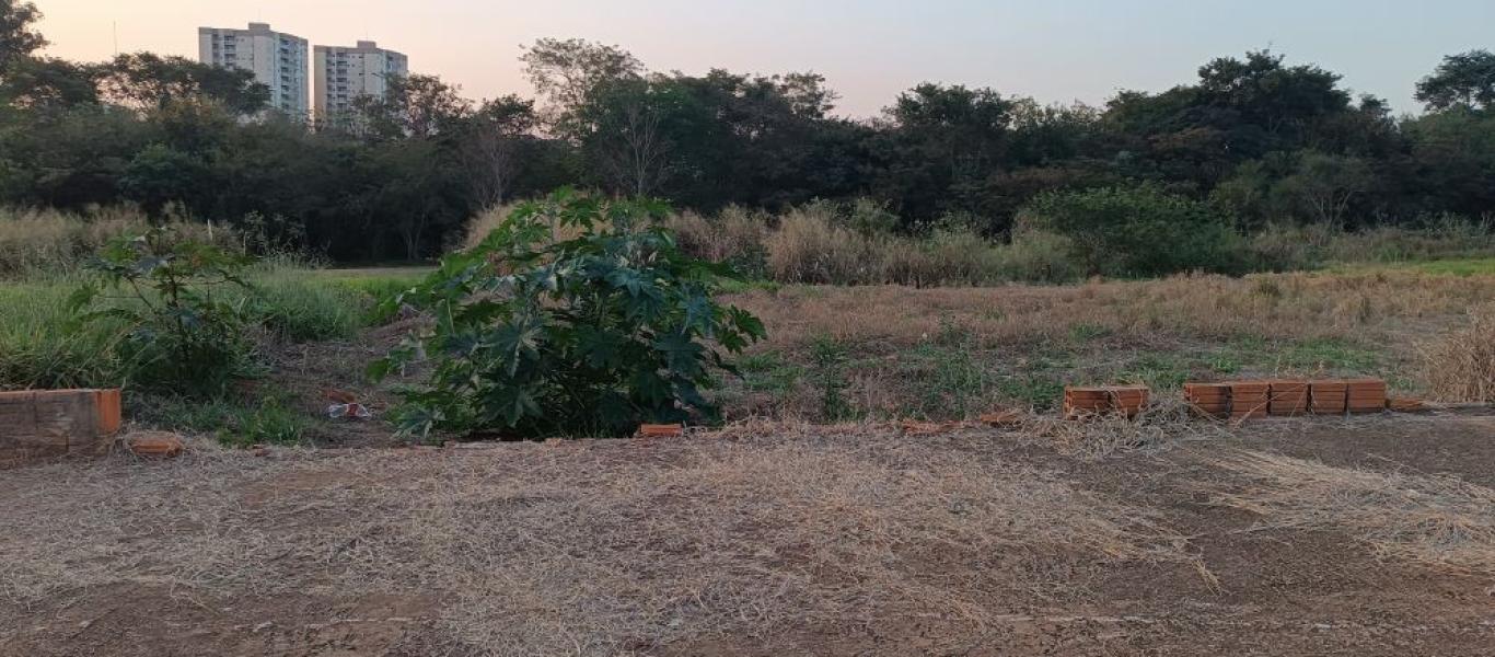 TERRENO NA ALTO DOS IPES em Assis