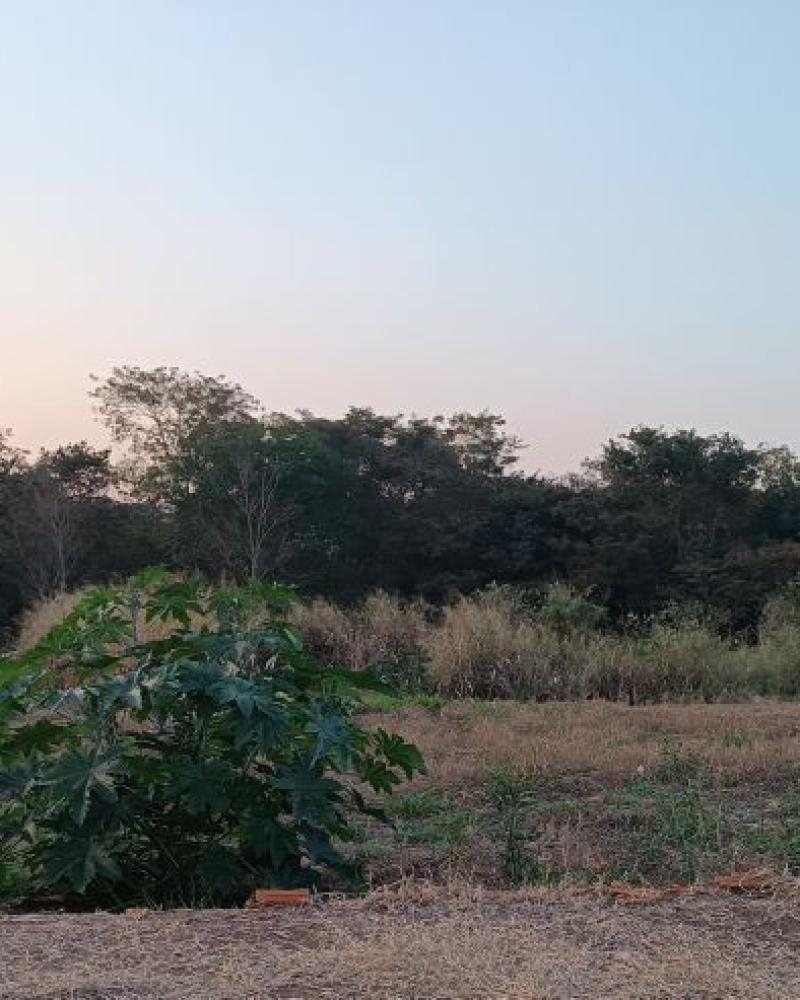 TERRENO NA ALTO DOS IPES em Assis