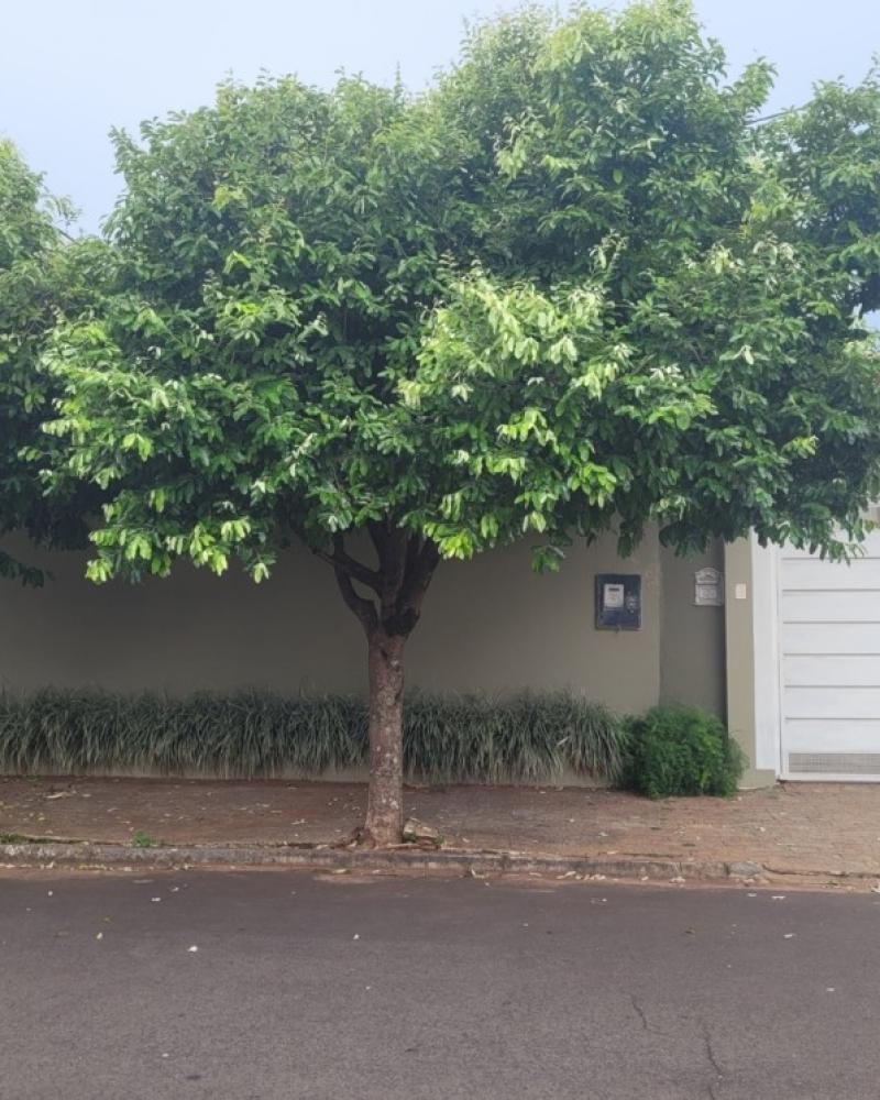 CASA NO Jardim Europa em Assis