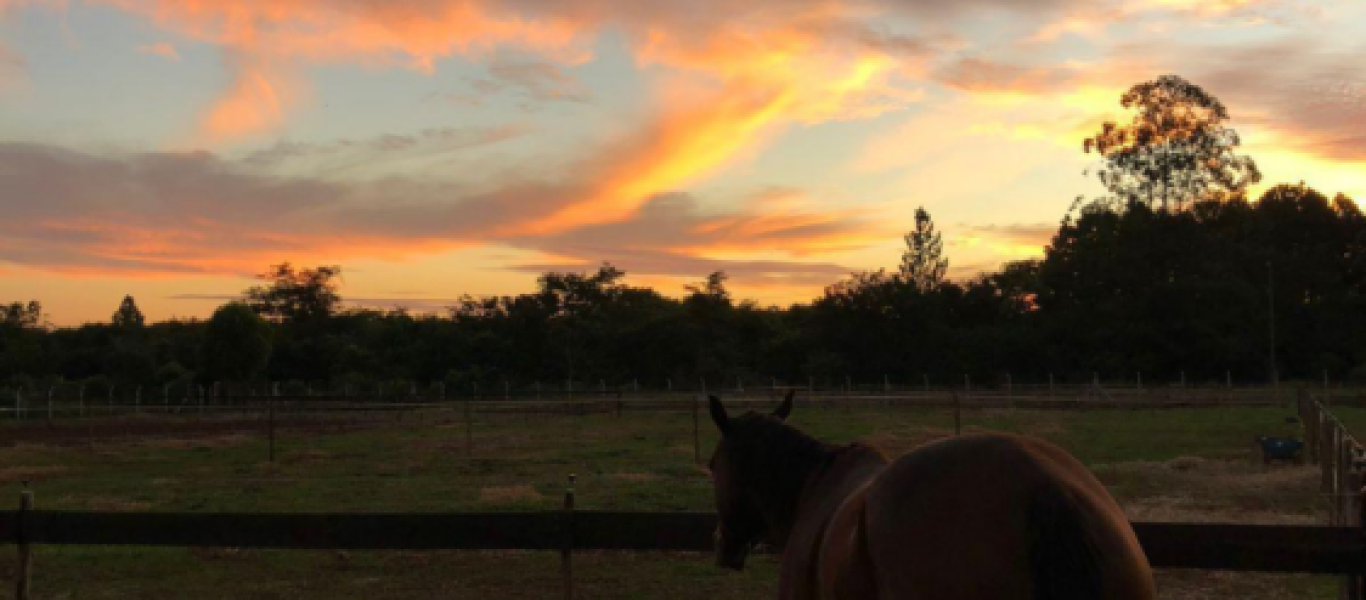 RANCHO NA ÁGUA DO CERVINHO em ASSIS