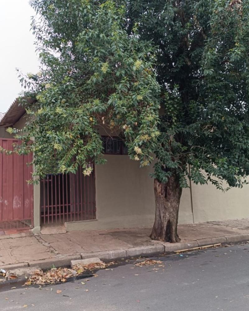 CASA NA VILA RIBEIRO em Assis