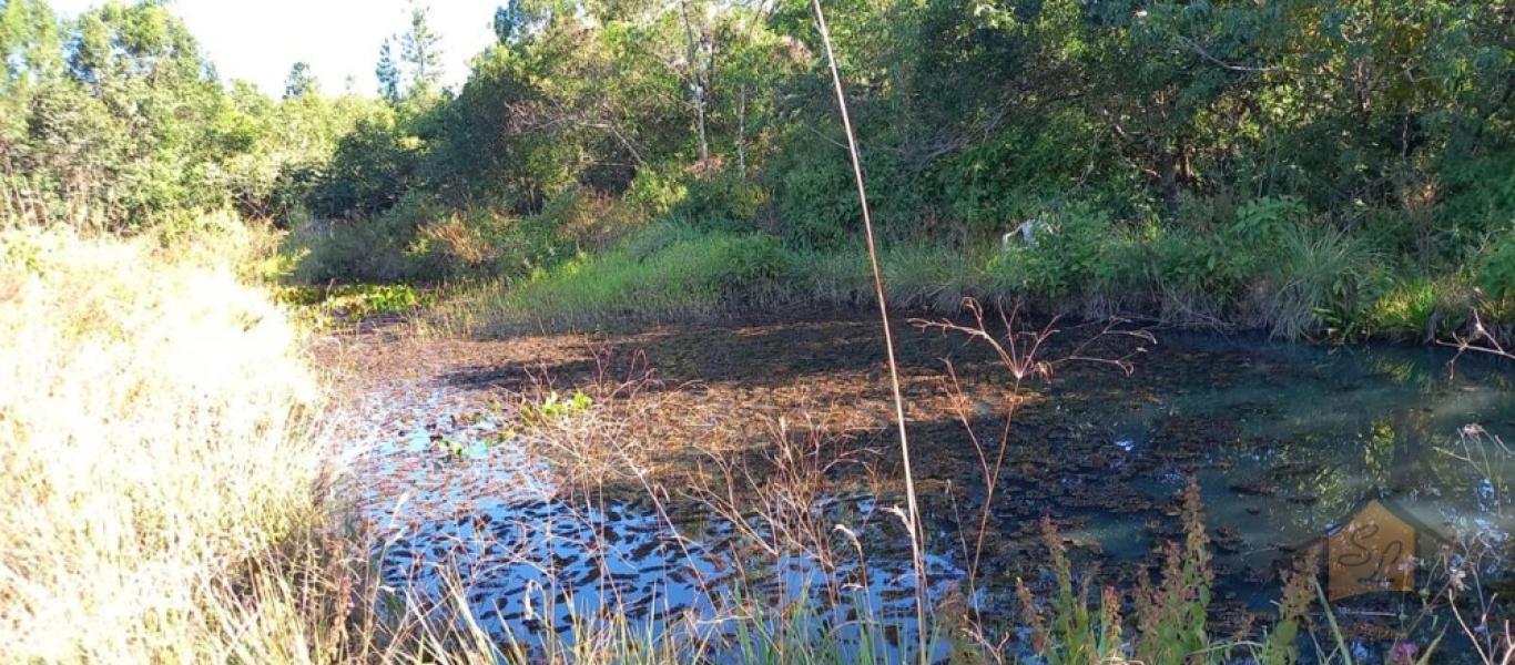 FAZENDA NA ÁGUA DA PINGA em ASSIS