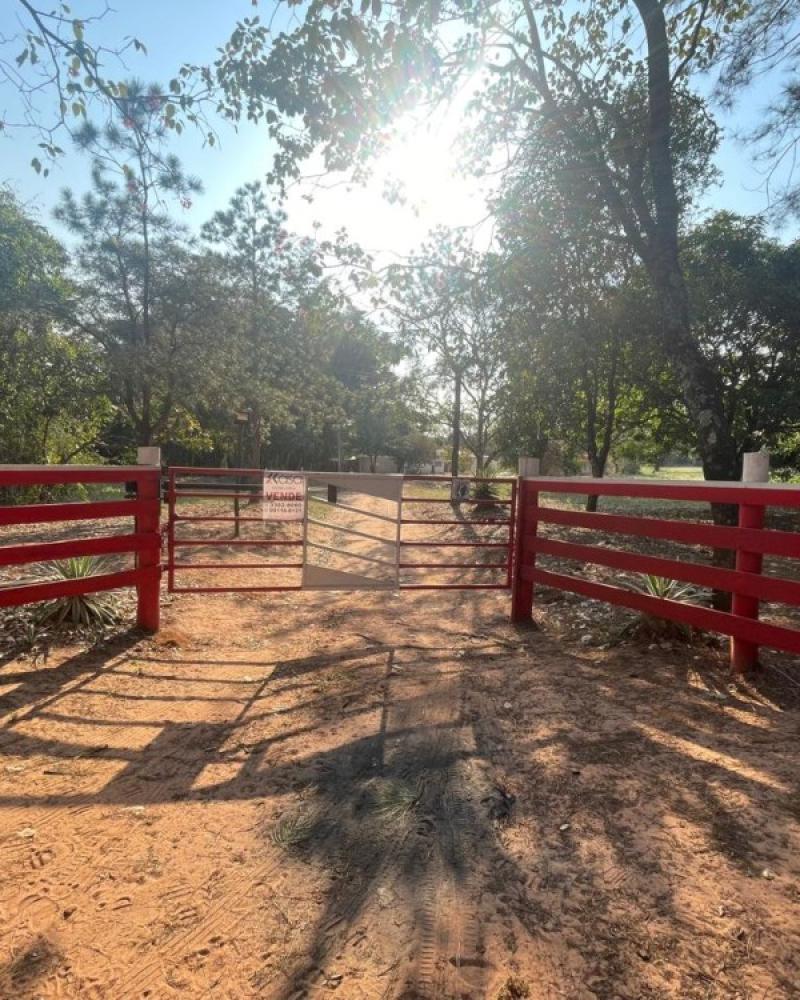 FAZENDA NA ÁGUA DA PINGA em ASSIS