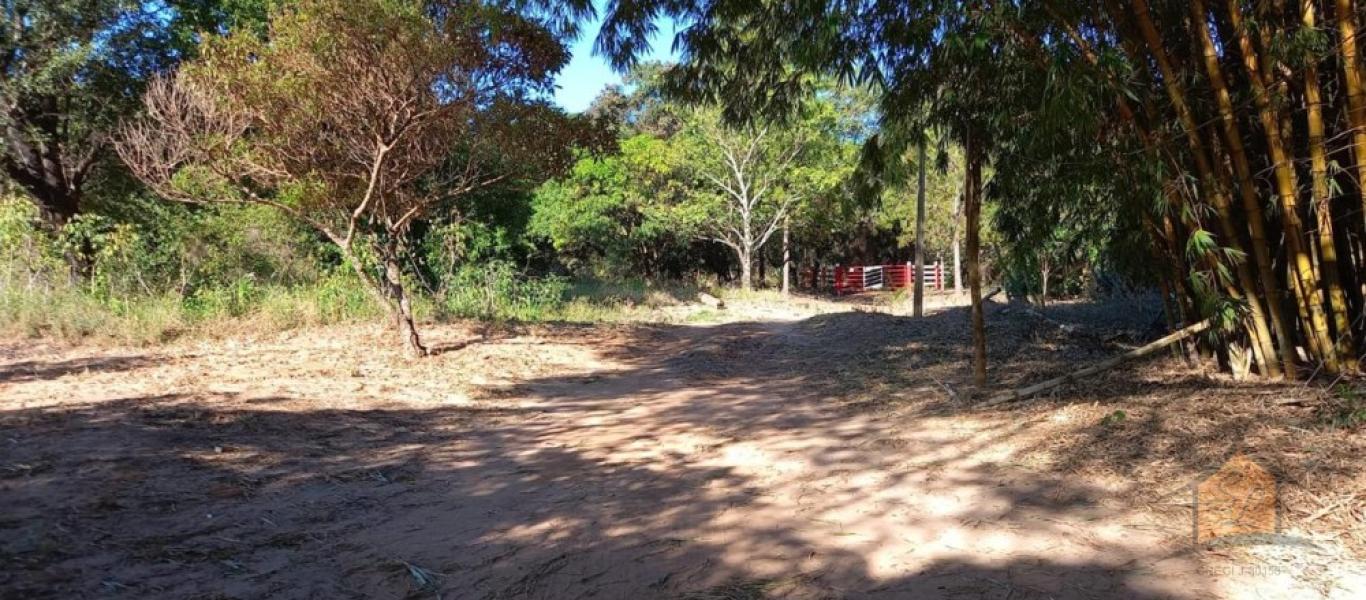 FAZENDA NA ÁGUA DA PINGA em ASSIS