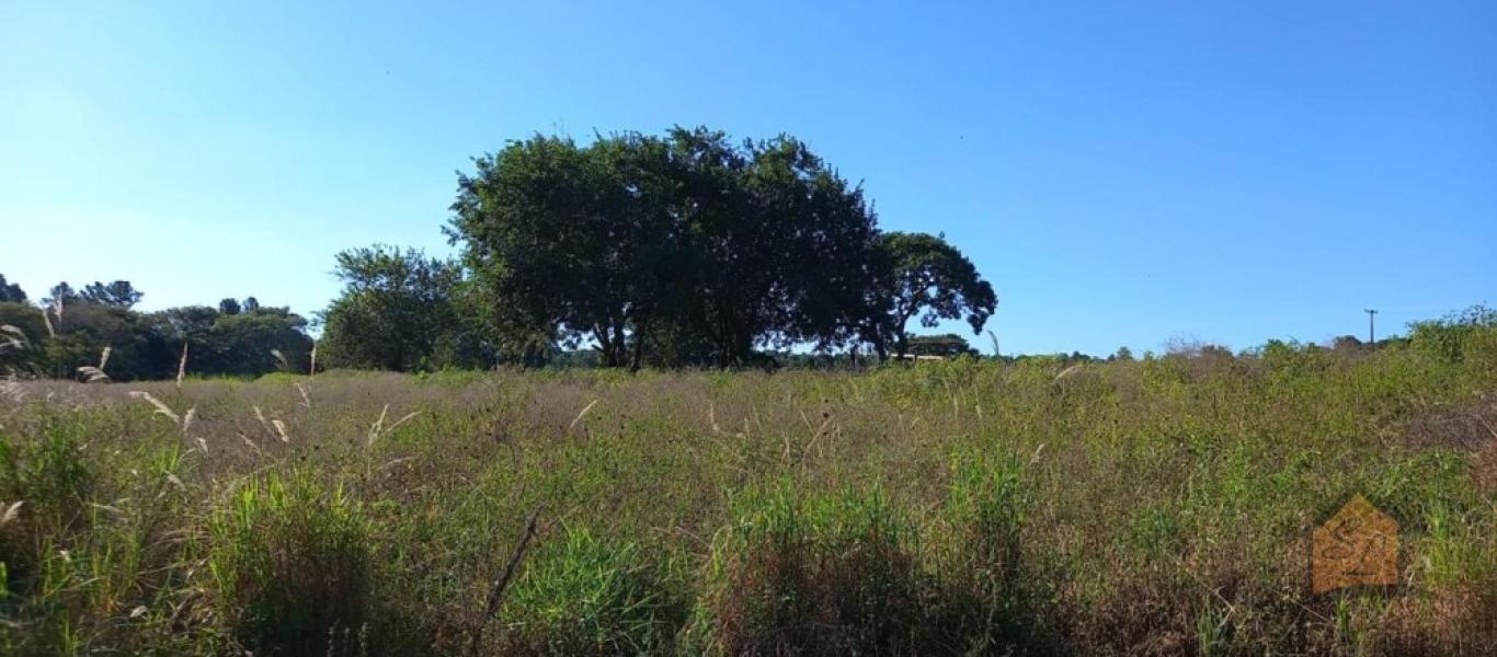 FAZENDA NA ÁGUA DA PINGA em ASSIS