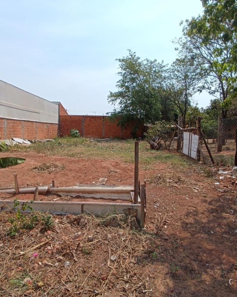 TERRENO NO Parque Universitário em Assis