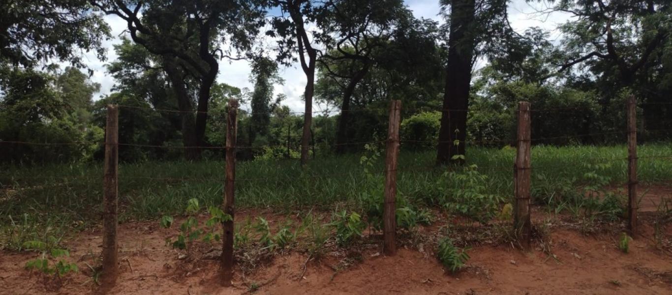 CHÁCARA NO JARDIM REZENDE em ASSIS