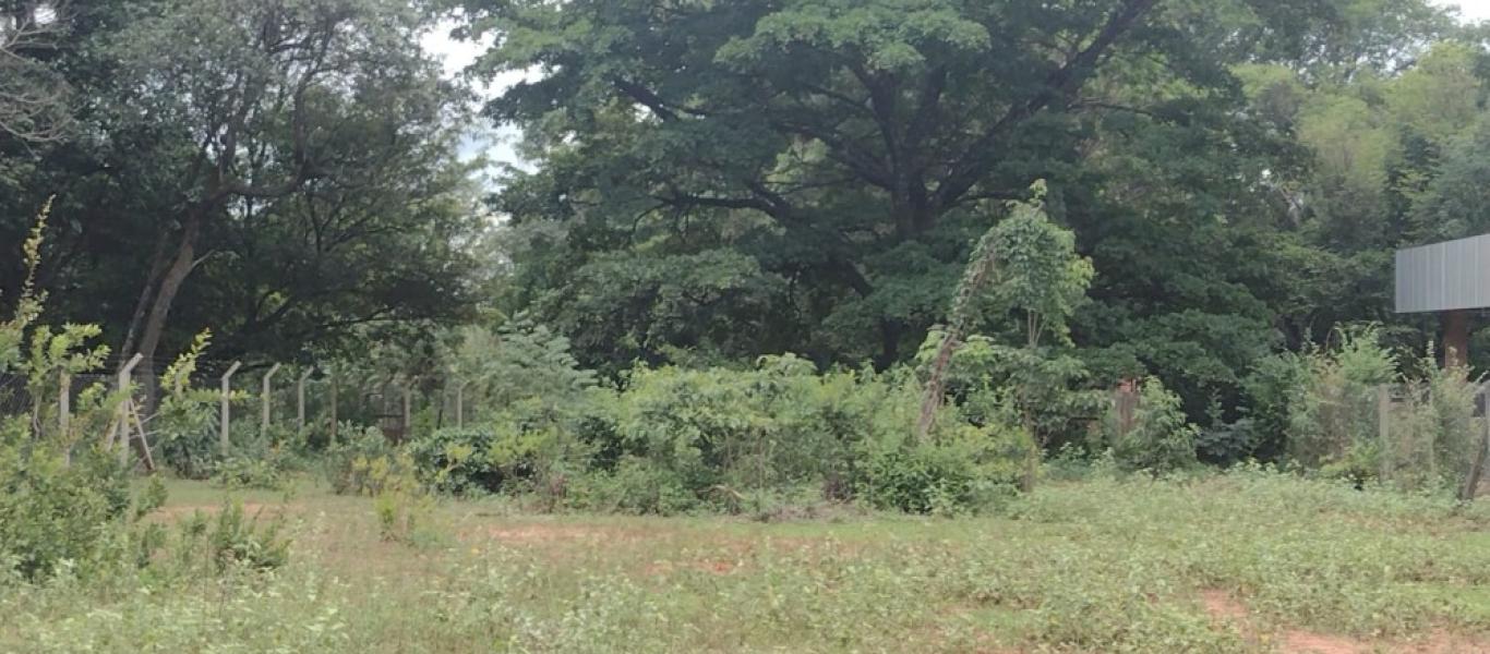 CHÁCARA NO JARDIM REZENDE em ASSIS