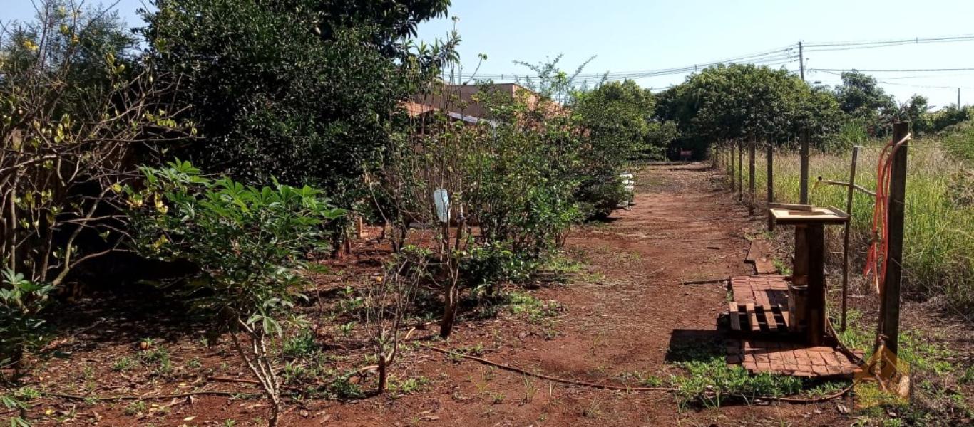 TERRENO NA VALE DAS AGUAS em PORTO ALMEIDA