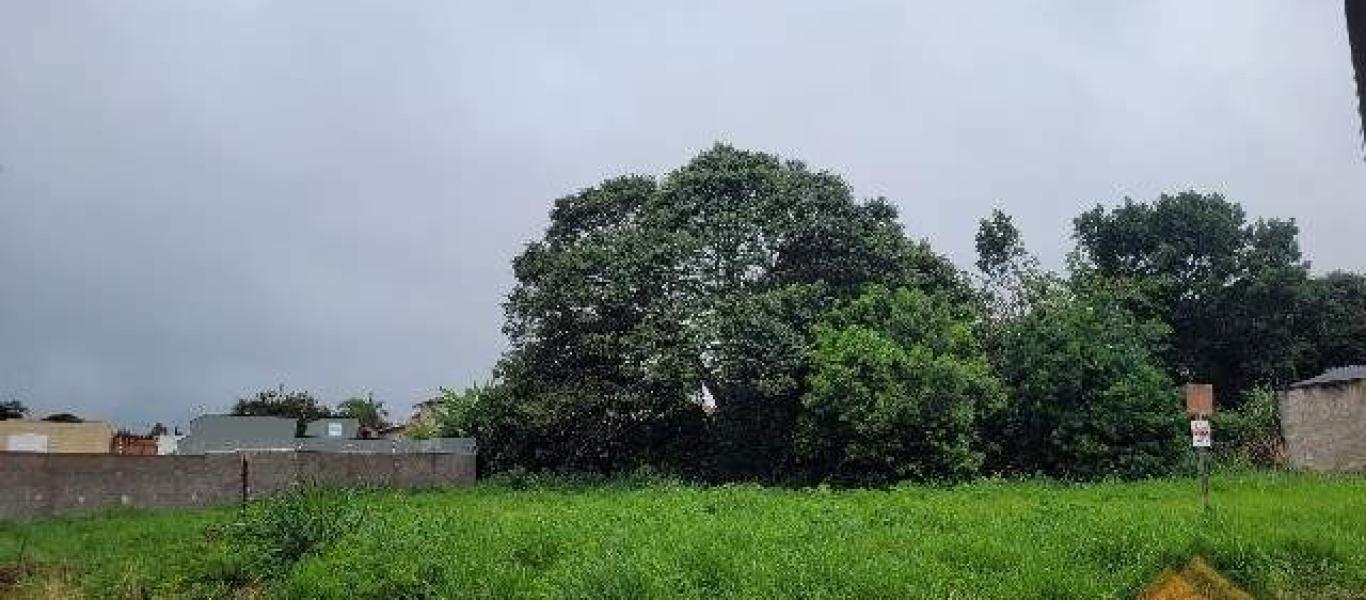 TERRENO NA Vila Palhares em Assis