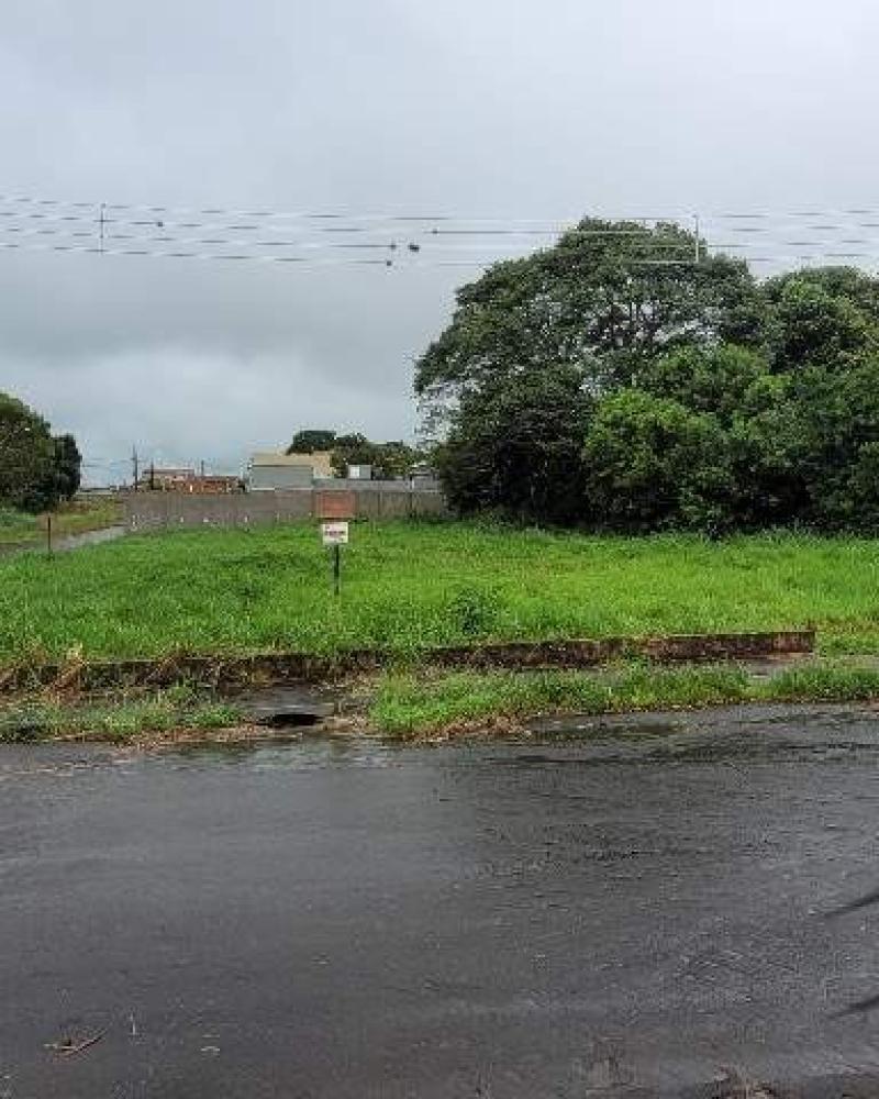 TERRENO NA Vila Palhares em Assis