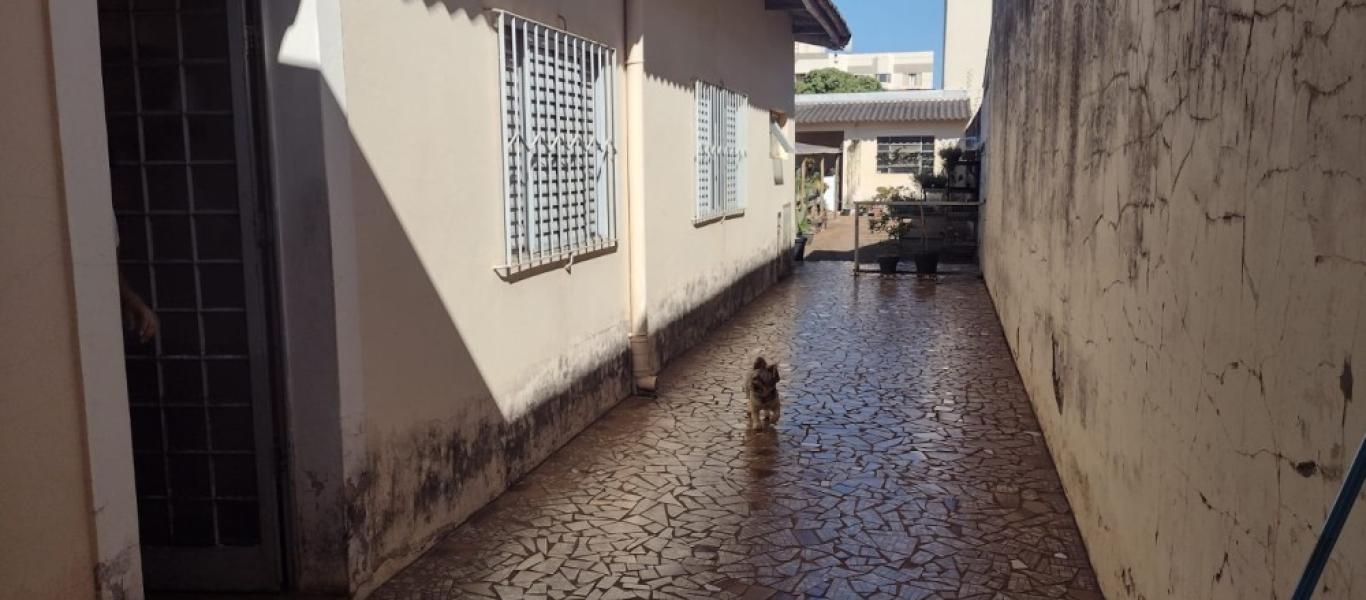 CASA NA Vila Orestes em Assis