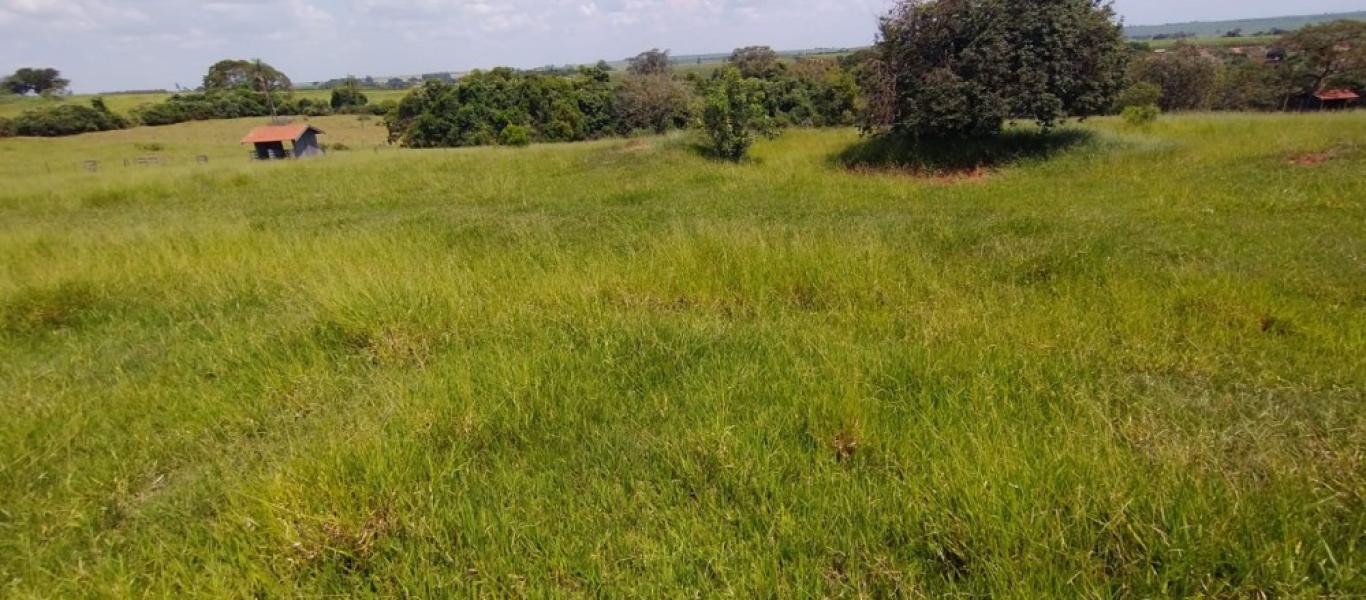 CHÁCARA NA BAIXADAO em ASSIS