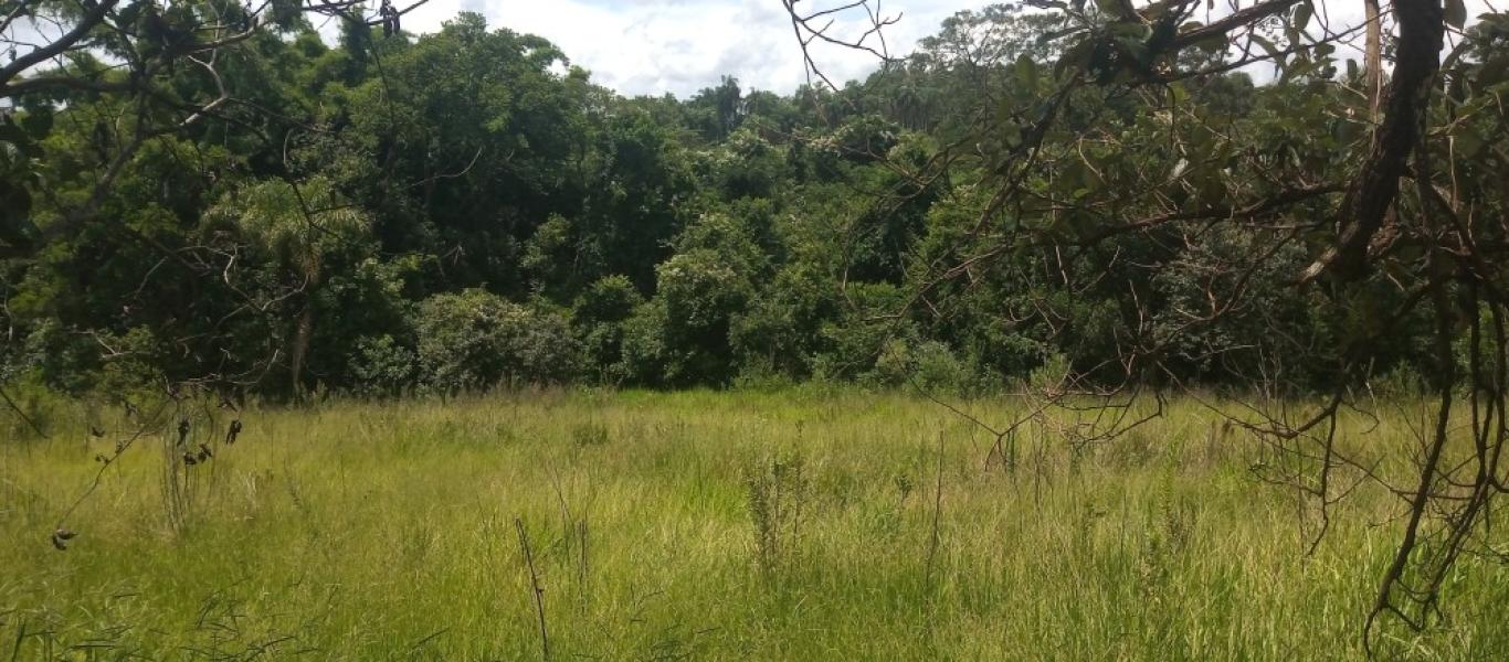 CHÁCARA NA Água do Baixadão em Assis