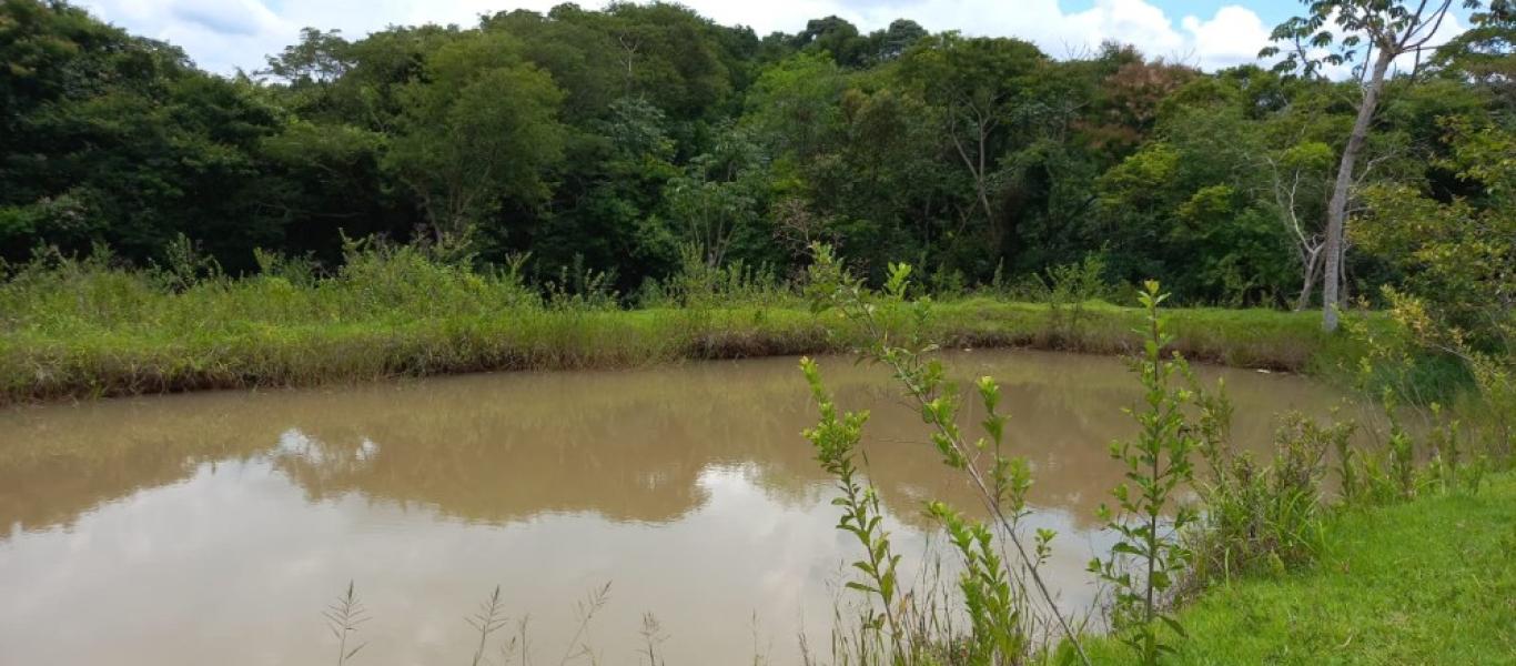 SÍTIO NA SITIO BARREIRO BONITA em Maracaí