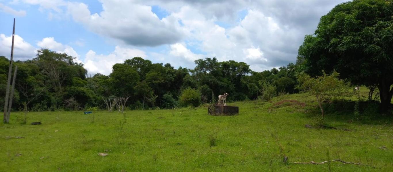 SÍTIO NA SITIO BARREIRO BONITA em Maracaí