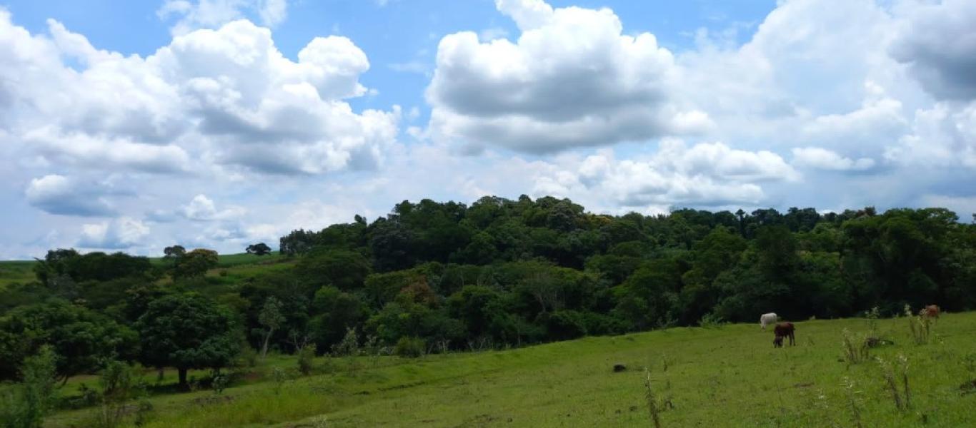 SÍTIO NA SITIO BARREIRO BONITA em Maracaí