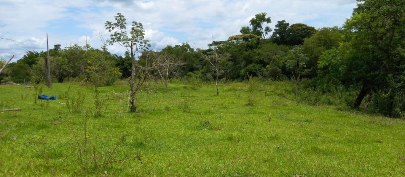 SÍTIO NA SITIO BARREIRO BONITA em Maracaí