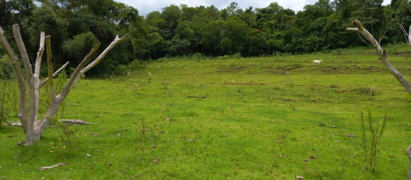 SÍTIO NA SITIO BARREIRO BONITA em Maracaí