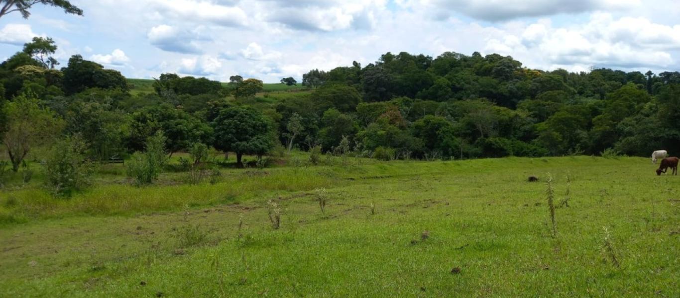 SÍTIO NA SITIO BARREIRO BONITA em Maracaí