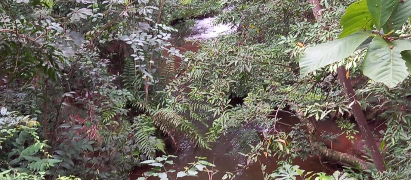 SÍTIO NA SITIO BARREIRO BONITA em Maracaí