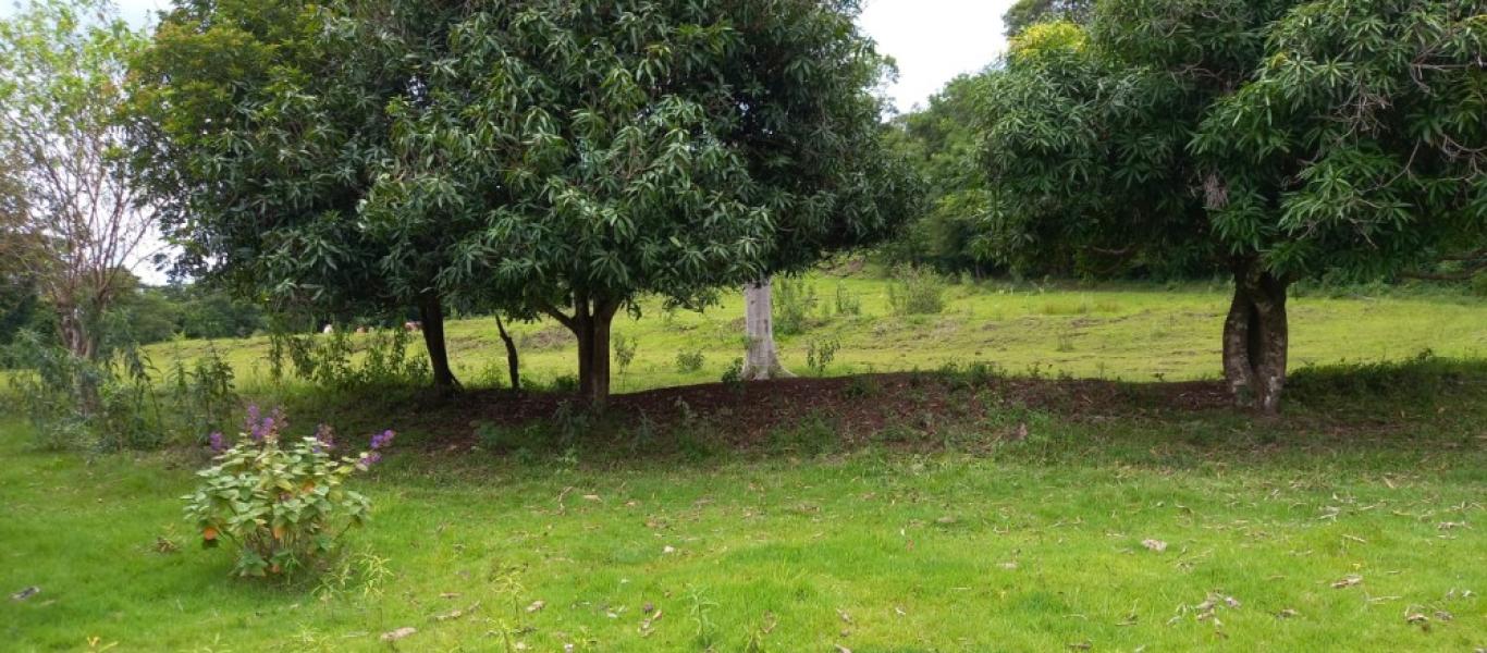 SÍTIO NA SITIO BARREIRO BONITA em Maracaí