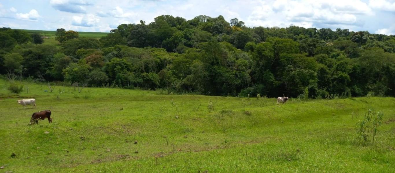 SÍTIO NA SITIO BARREIRO BONITA em Maracaí