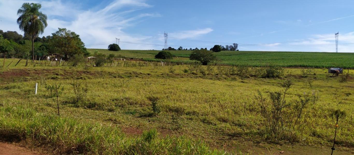 CHÁCARA NA Cabiuna em Assis