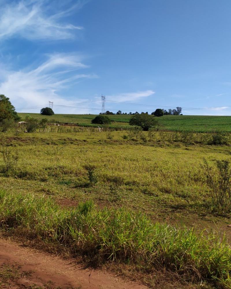 CHÁCARA NA Cabiuna em Assis