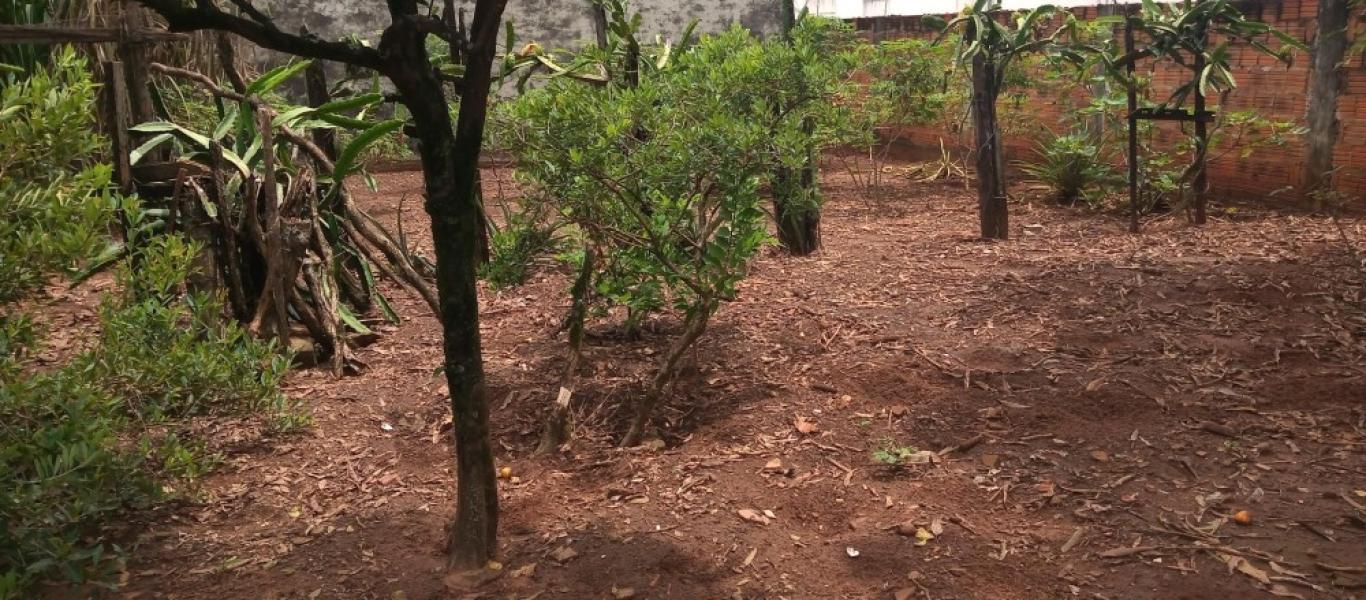 TERRENO NA Vila Central em Assis