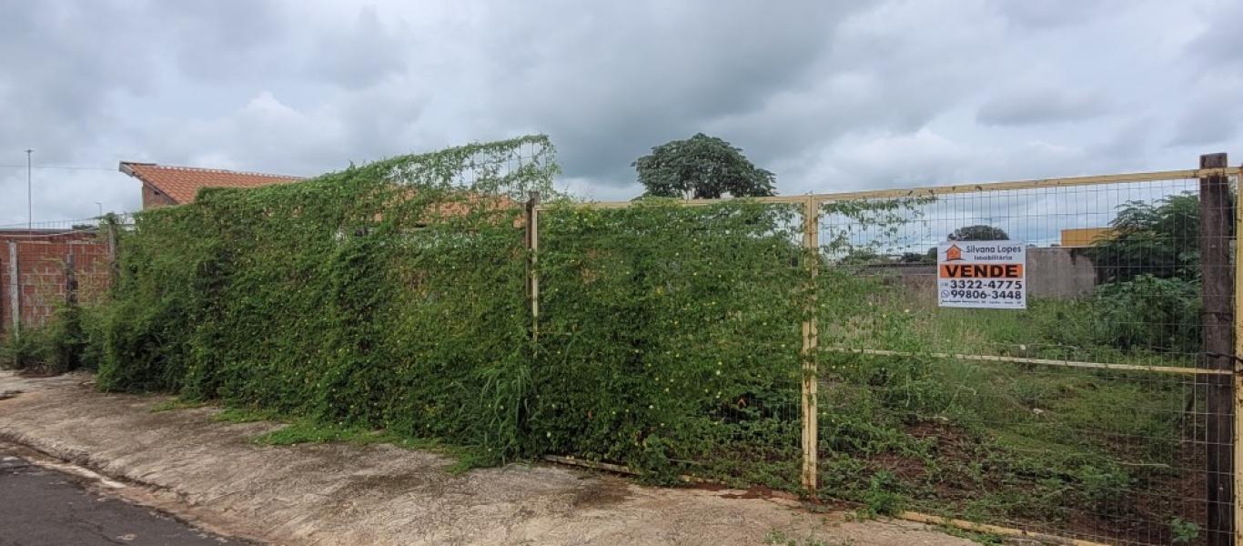 TERRENO NA VILA SILVESTRE em Assis