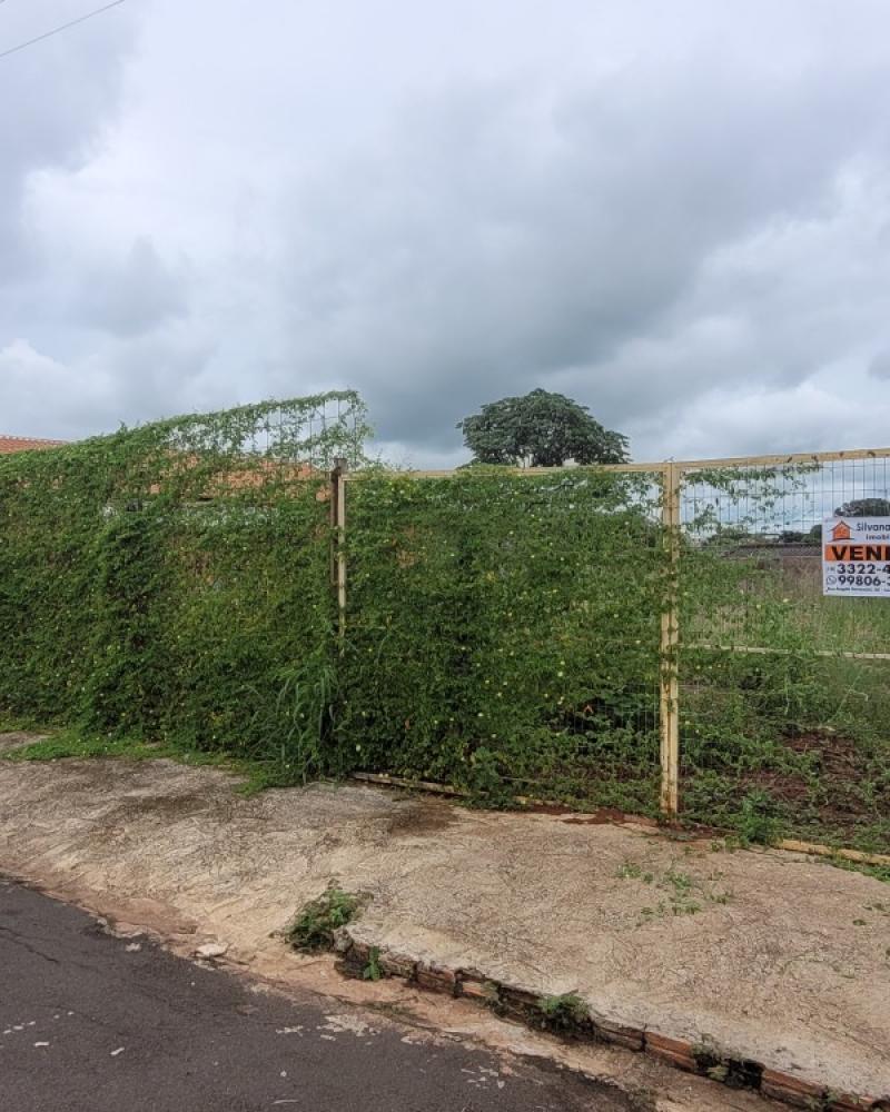 TERRENO NA VILA SILVESTRE em Assis