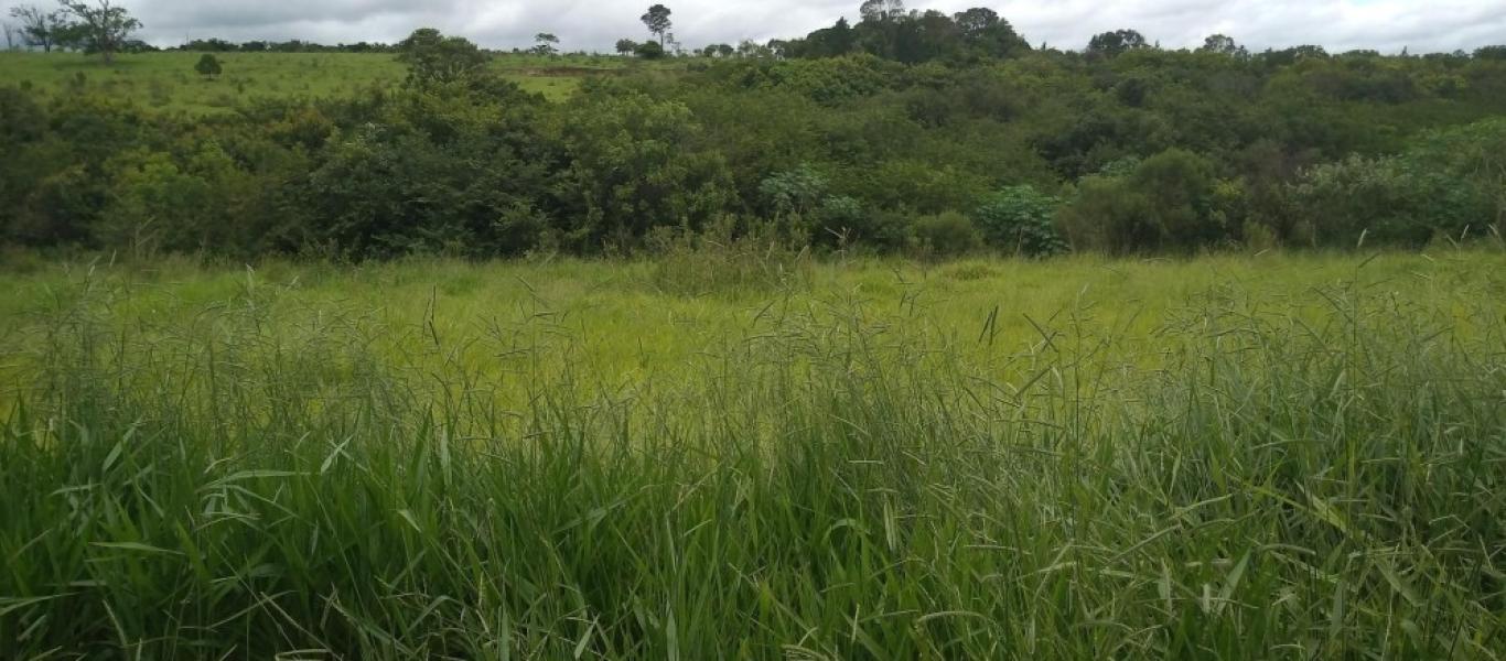 TERRENO NA SÃO JOÃO em ASSIS