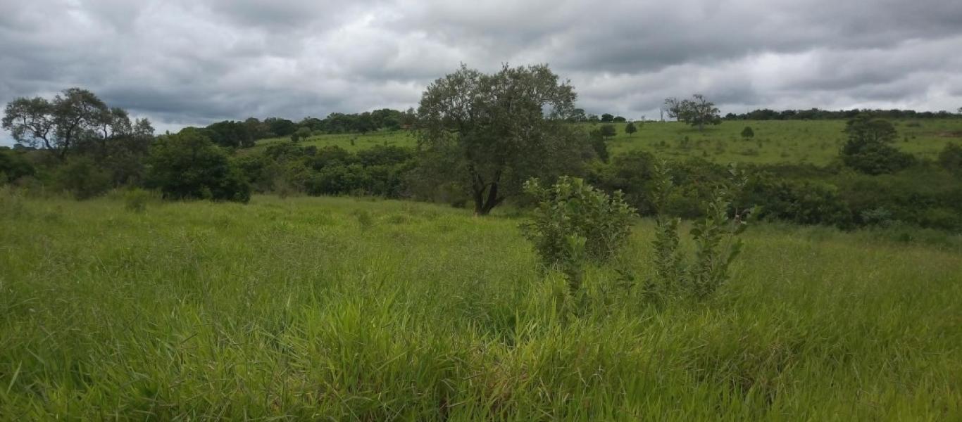 TERRENO NA SÃO JOÃO em ASSIS