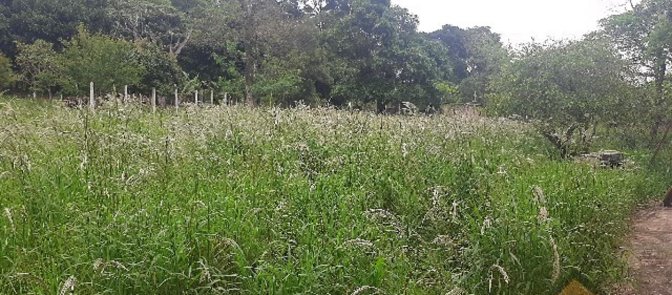 CHÁCARA NO Jardim Rezende em Assis