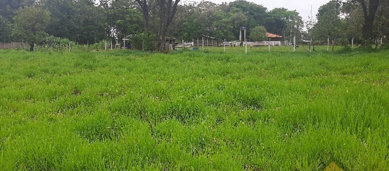 CHÁCARA NO Jardim Rezende em Assis