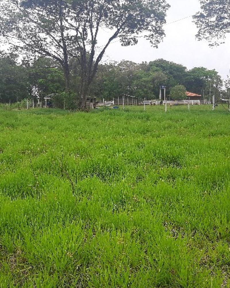 CHÁCARA NO Jardim Rezende em Assis