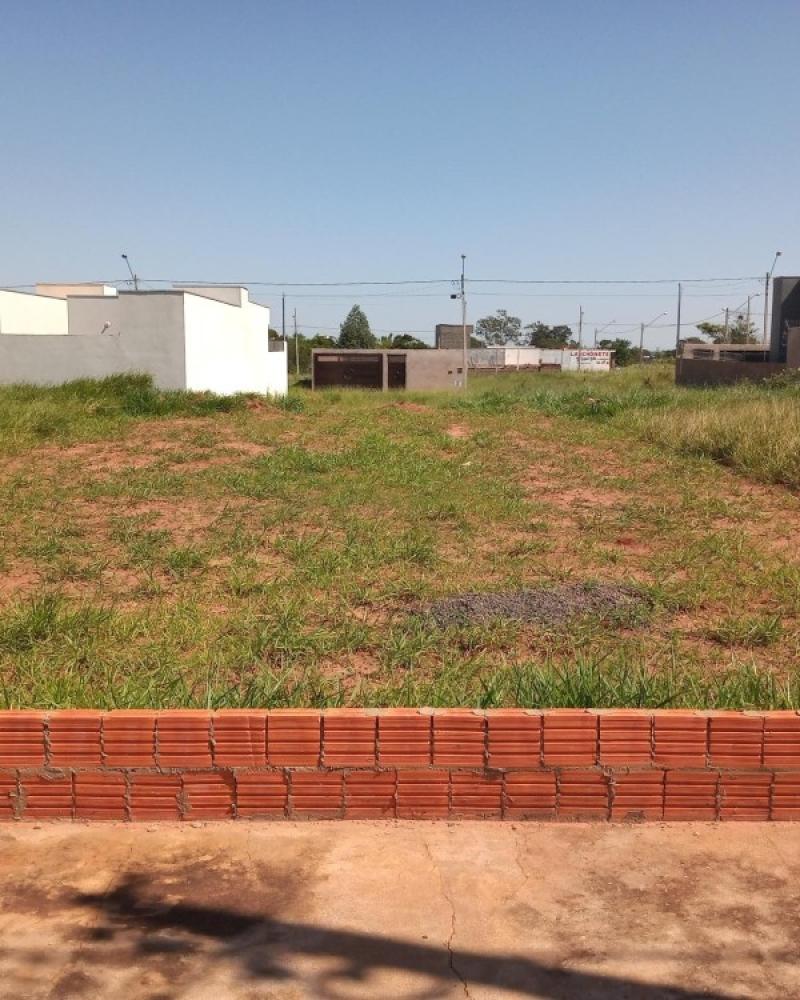 TERRENO NO RESIDENCIAL VENEZA em ASSIS