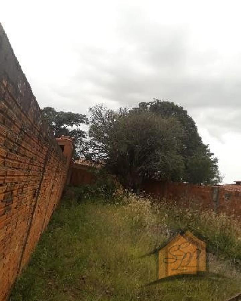 TERRENO NA Vila Ribeiro em Assis