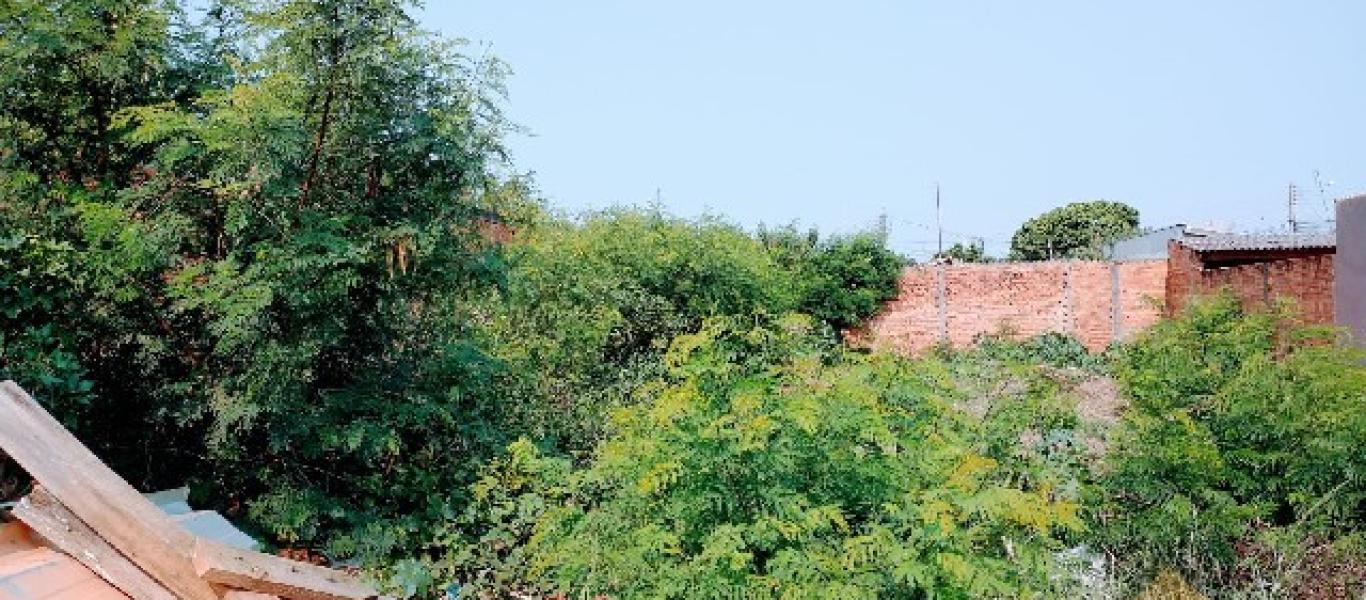 TERRENO NA Vila Ribeiro em Assis