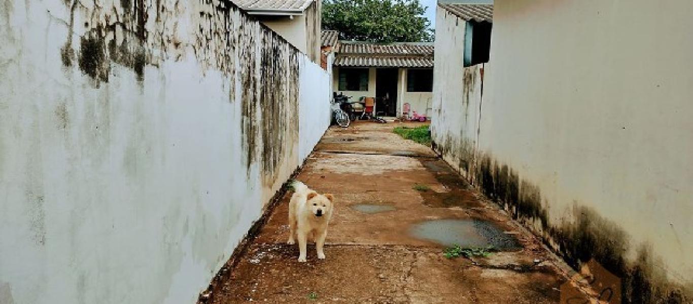 CASA NA Vila Progresso em Assis