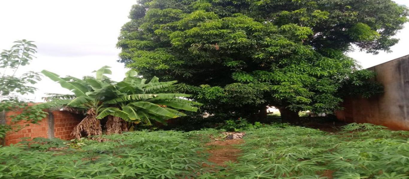 TERRENO NA Vila Claudia em Assis