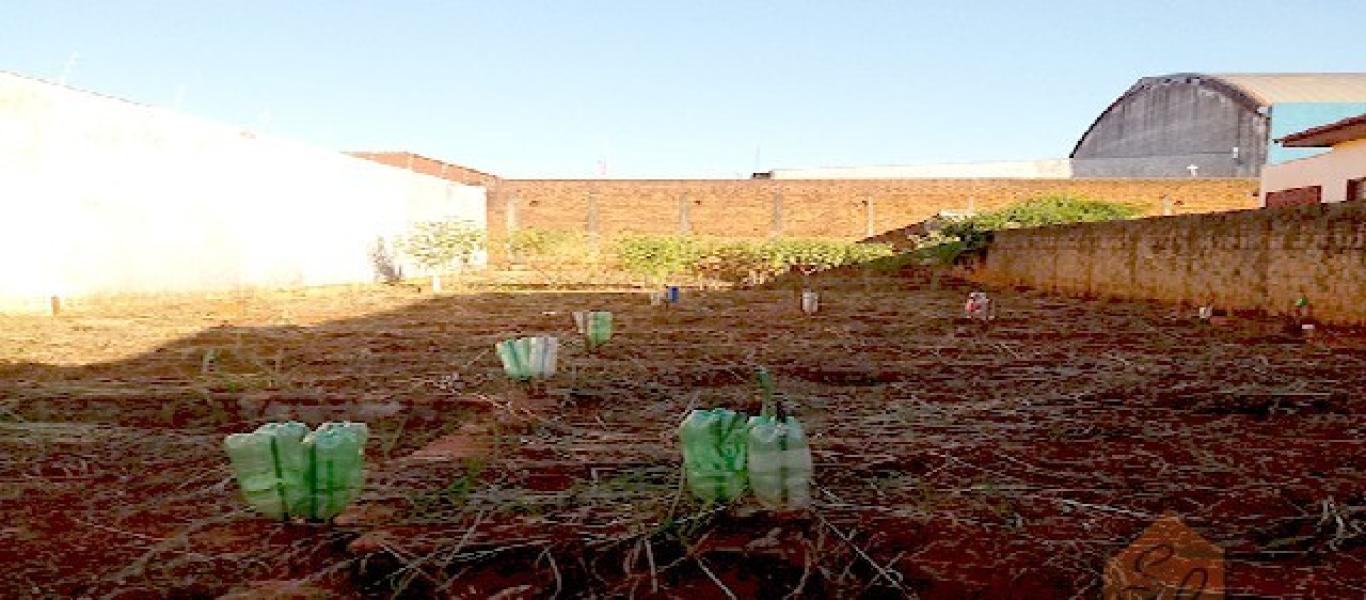 TERRENO NA VILA XAVIER em Assis